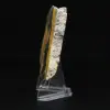 Ejemplar de jaspe abejorro pulido - 105 g - 3