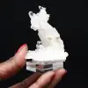 Desvanecimiento de cristales - 3