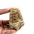 Trilobite fósil