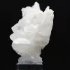 Faden de cristal del Himalaya - 2