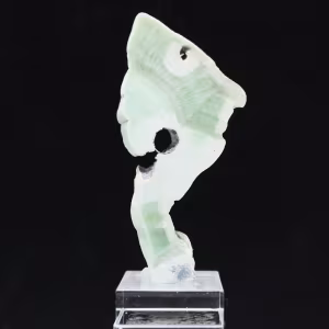 Rebanada auténtica y pulida de piedra de aragonita verde