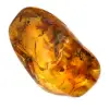 Guijarro de ámbar amarillo para decoración y muestra científica - 0