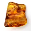 Resina fósil de ámbar báltico: un guijarro para los aficionados - 2