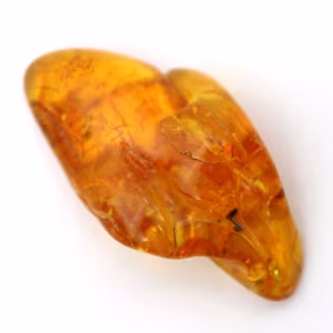 Guijarro de ámbar amarillo, piedra natural de Lituania