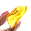 Ámbar amarillo fósil del Báltico: auténtico guijarro - 1