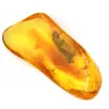 Ámbar amarillo fósil del Báltico: auténtico guijarro - 2