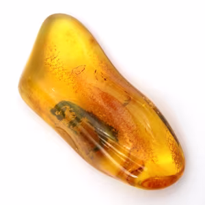 Ámbar amarillo fósil del Báltico: auténtico guijarro