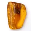 Ámbar báltico: artículo de guijarro de mineralogía - 0