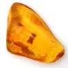 Ámbar báltico amarillo: guijarro pulido, objeto decorativo - 0