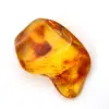 Piedra pequeña de ámbar amarillo – Objeto de colección fósil - 0