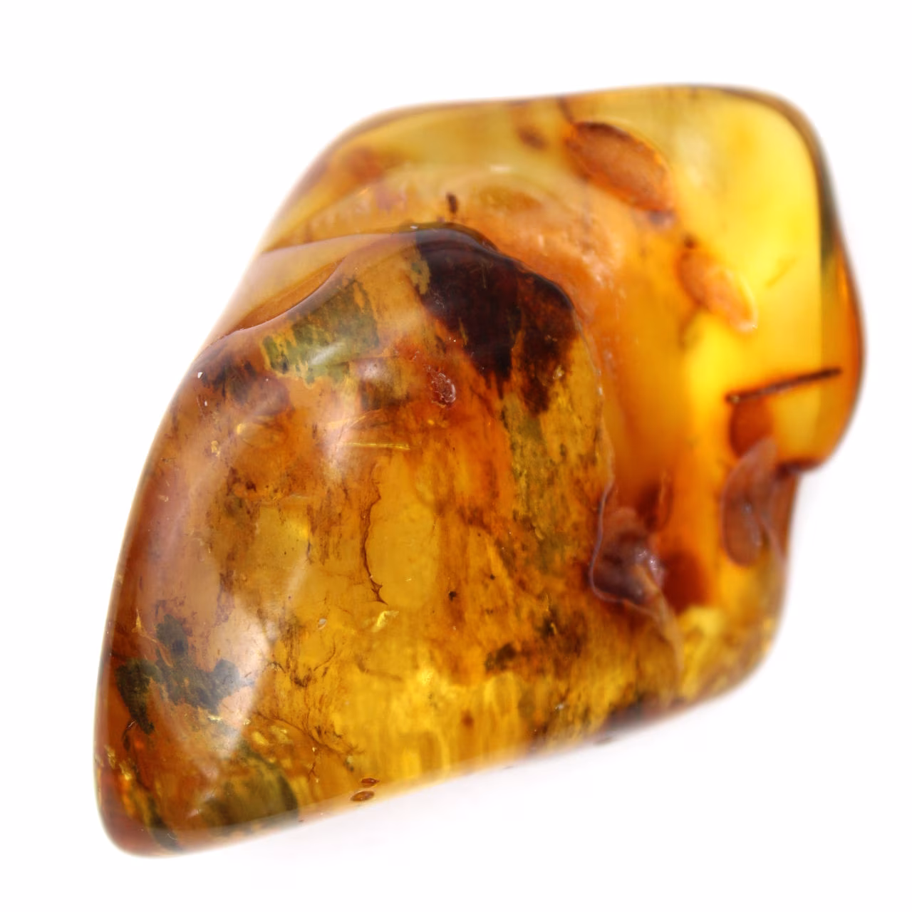 Guijarro de ámbar báltico pulido - Piedra de colección natural