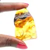 Auténtico guijarro de ámbar pulido de Lituania - Ejemplar de mineralogía - 1