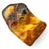 Auténtico guijarro de ámbar pulido de Lituania - Ejemplar de mineralogía - 2