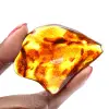 Ámbar lituano pulido: una piedra para la colección de fósiles - 1