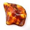 Ámbar lituano pulido: una piedra para la colección de fósiles - 2