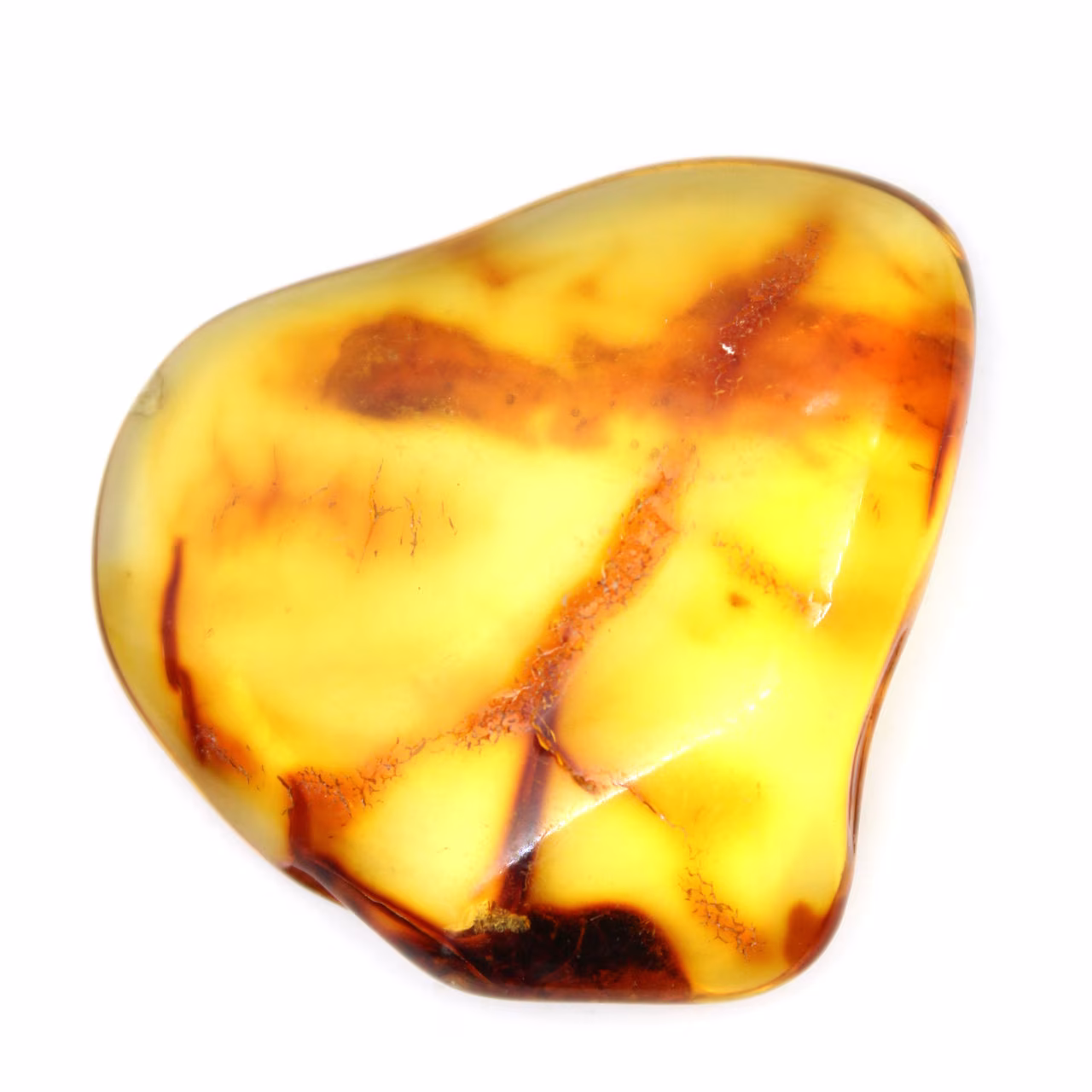 Pequeña piedra de ámbar lituano pulido: autenticidad y ciencia