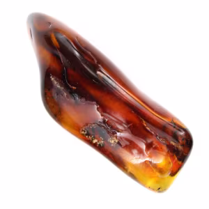 Guijarro de ámbar pulido de Lituania: objeto mineral decorativo