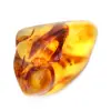 Piedra de ámbar pulida de Lituania: auténtica pieza de colección - 0
