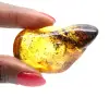Pequeña piedra de ámbar báltico pulido - Autenticidad garantizada - 1