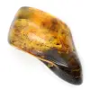 Pequeña piedra de ámbar báltico pulido - Autenticidad garantizada - 2
