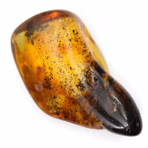 Pequeña piedra de ámbar báltico pulido - Autenticidad garantizada