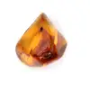 Pequeño ejemplar de guijarro de ámbar pulido - Auténtica Lituania - 2