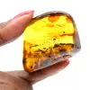 Gran guijarro de ámbar lituano pulido - Mineral de colección - 1