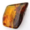 Gran guijarro de ámbar lituano pulido - Mineral de colección - 2