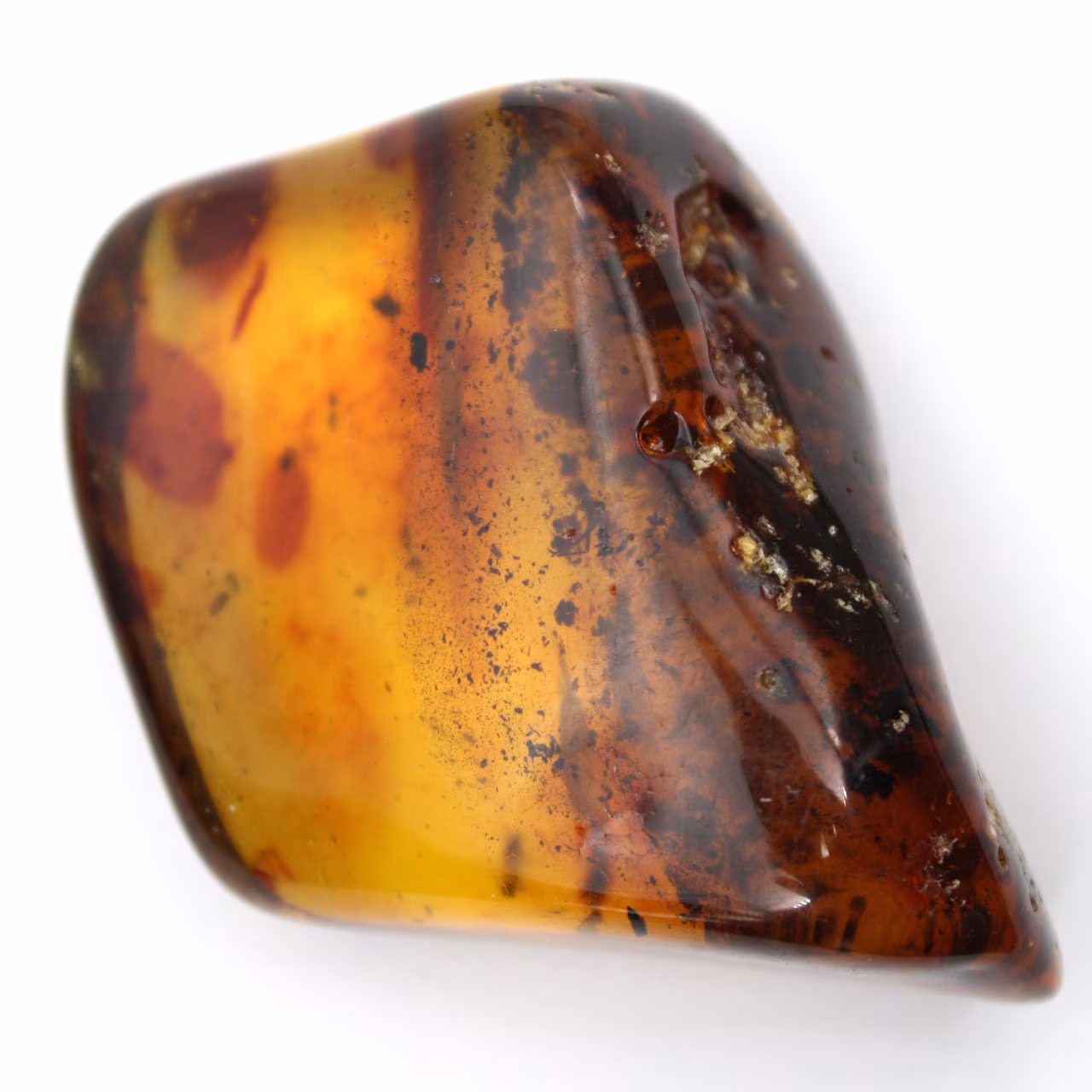 Gran guijarro de ámbar lituano pulido - Mineral de colección