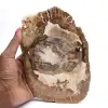 Adorno de madera petrificada, pieza pulida, pieza de colección, Madagascar - 0