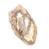 Adorno de madera petrificada, pieza pulida, pieza de colección, Madagascar - 3