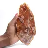 Rebanada de madera petrificada pulida, pequeño adorno fósil, Madagascar - 0