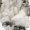 Pequeño ejemplar de mica sobre cuarzo blanco. - 7
