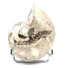 Amonita pulida coleccionable de Madagascar: auténtico ejemplar decorativo - 1