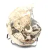 Amonita pulida coleccionable de Madagascar: auténtico ejemplar decorativo - 3