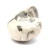 Ejemplar de amonita de Madagascar: fósil pulido para coleccionistas - 2