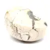 Ejemplar de amonita de Madagascar: fósil pulido para coleccionistas - 3