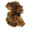 Barita de Ouichane, cristales marrones - 1