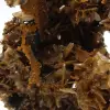 Barita de Ouichane, cristales marrones - 4