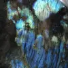 Labradorita pulida, auténtica de Madagascar - 6