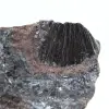 Pirolusita, ejemplar auténtico en matriz - 2