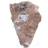 Cristales genuinos de pirolusita en matriz - 2