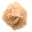 Pequeña Rosa del Desierto de Marruecos: fragmento geológico natural — 5