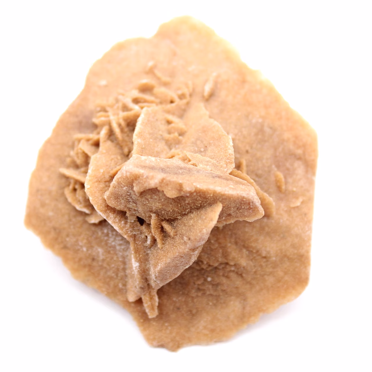 Roseta de yeso de Marruecos: cristal natural del Sahara
