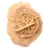 Pequeña Rosa del Desierto de Marruecos: fragmento geológico natural - 9