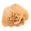 Pequeña Rosa del Desierto de Marruecos: fragmento geológico natural - 11