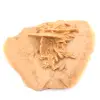Rosa del desierto marroquí clara: cristalización fina - 2