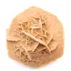 Pequeña Rosa del Desierto de Marruecos: fragmento geológico natural - 12