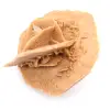 Rosa del desierto marroquí: yeso natural y estético - 2