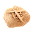 Roseta mineral de Marruecos: cristalización de yeso - 0